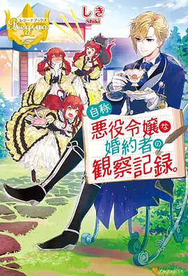 灰岸纪年 封面